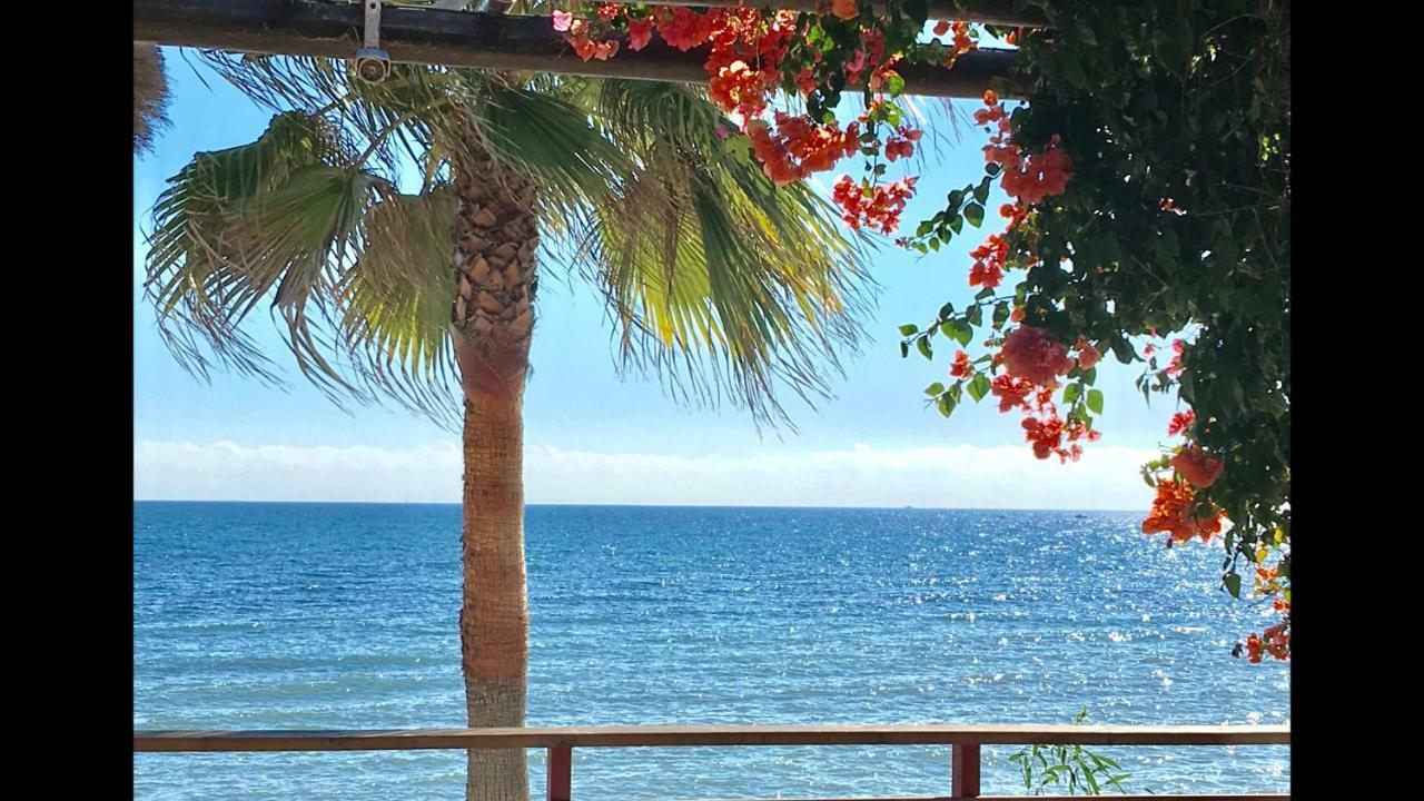 Sitio de Calahonda Mi Capricho 2D Beachfront- Apartment With Sea View - Costa Del Sol מראה חיצוני תמונה